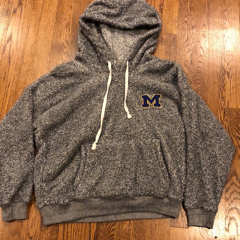 University of Michigan grey fleece hoodie size small - Picture 1 of 4